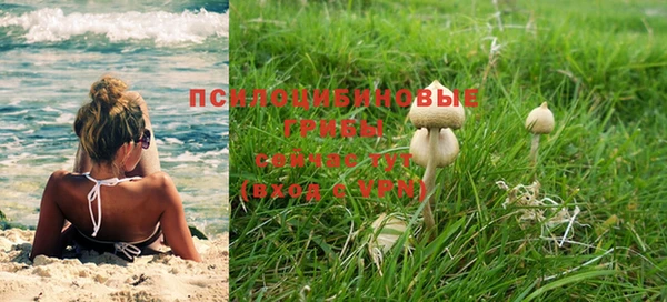 PSILOCYBIN Алексеевка