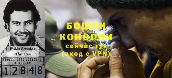 гашик Покровск